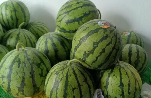 新瓜最新爆料,揭秘娱乐圈最新热点事件内幕